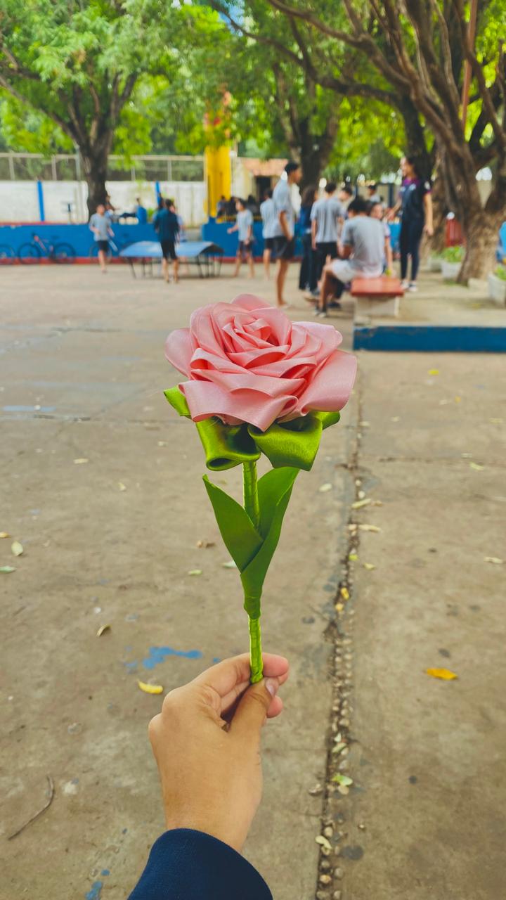 Rosas Vermelhas